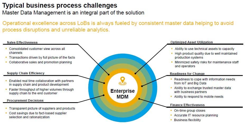 Master Data Management process