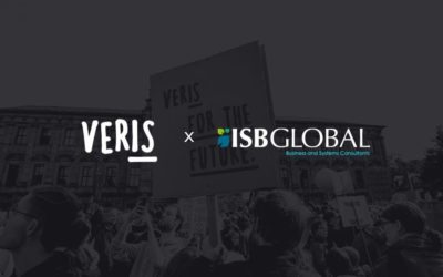 Veris Strategies case study