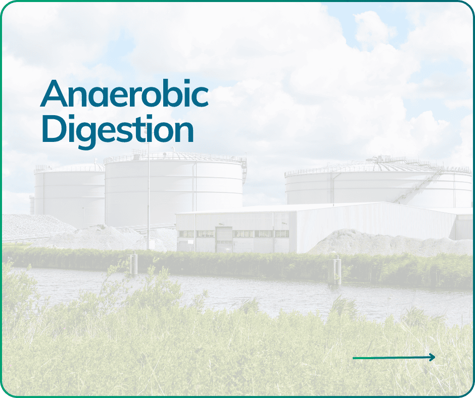 Anaerobic Digestion