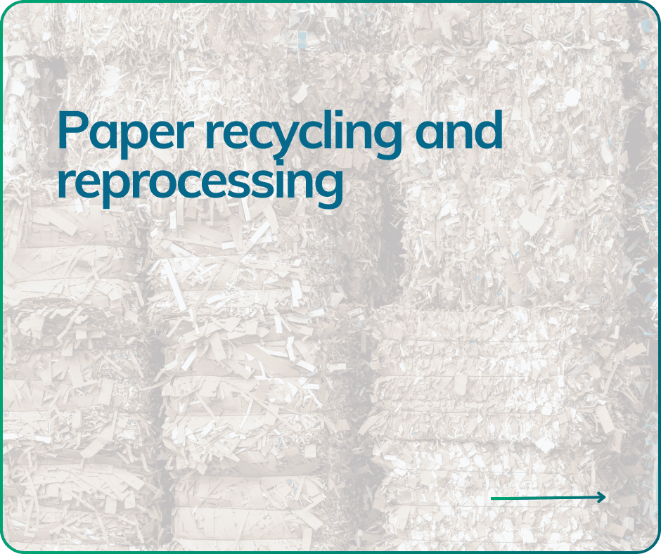 Paper recycling button